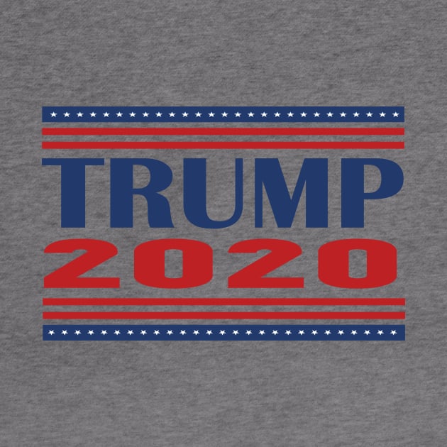 DONALD TRUMP 2020 by Netcam